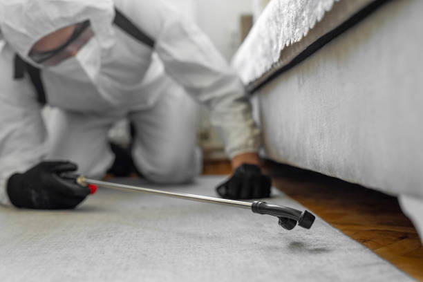 Professional Pest Control technician working in Rockbridge County County, VA